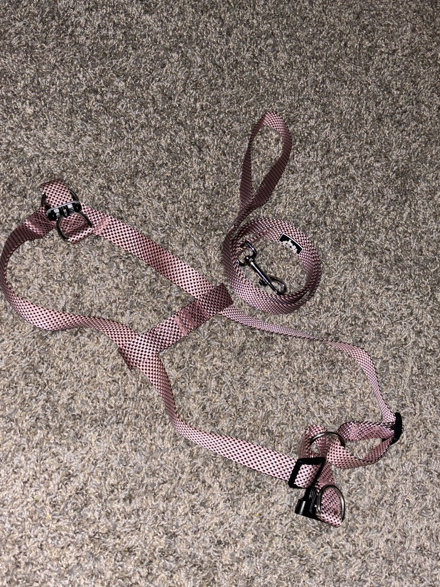Pink Leash And Harness