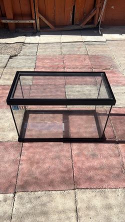 Terrarium 10 gallon tank