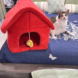 Cat Bed/house 