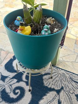 Gramm Orchid