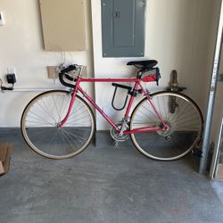 Vintage Pink Univega