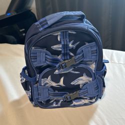 Pottery Barn Backpack 
