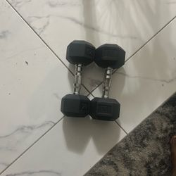 Dsg 20lb Dumbells