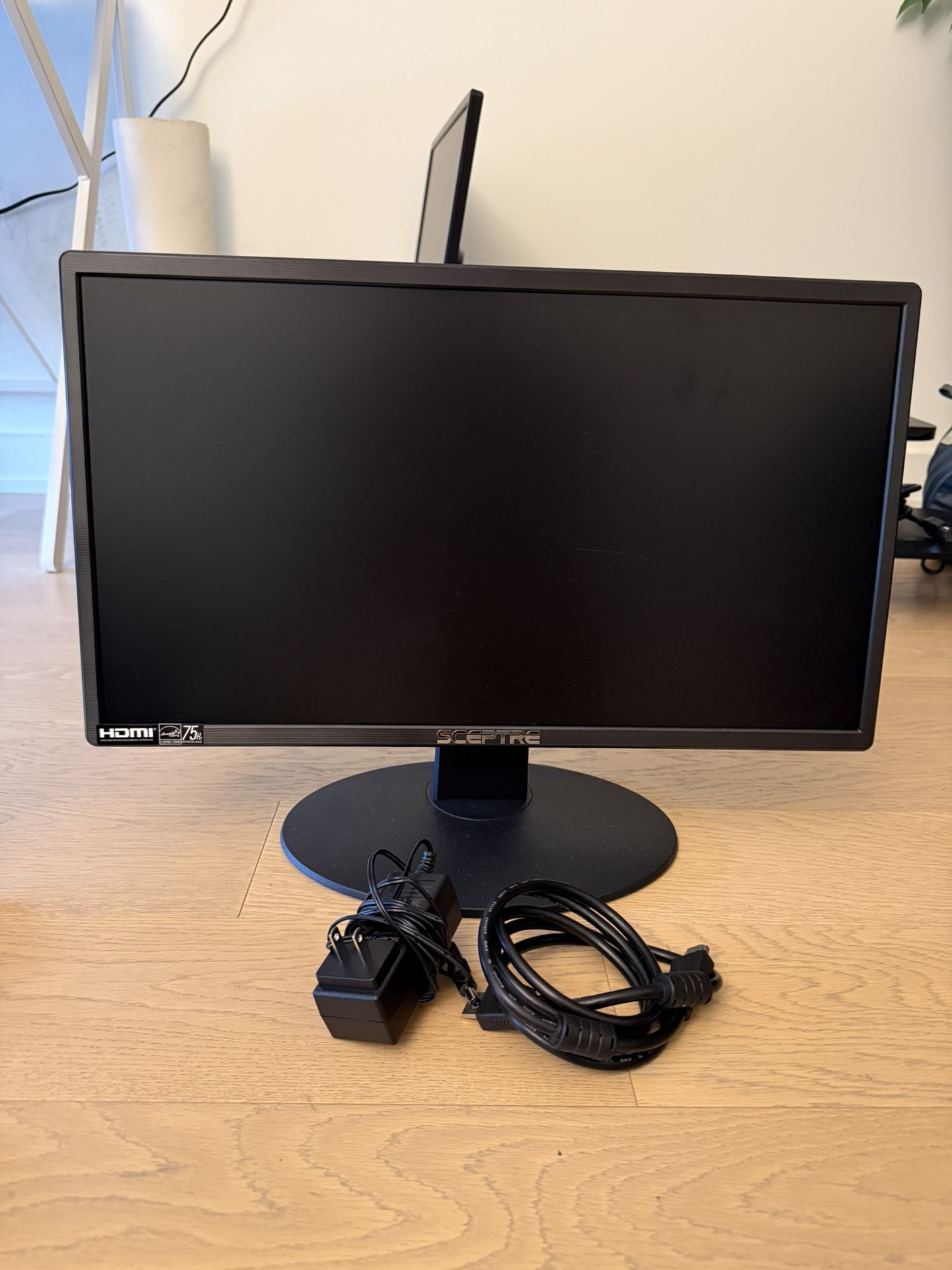 Sceptre 20" Monitor