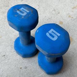 Set Of 2 Blue 5 lbs Hand Weights Dumbbells