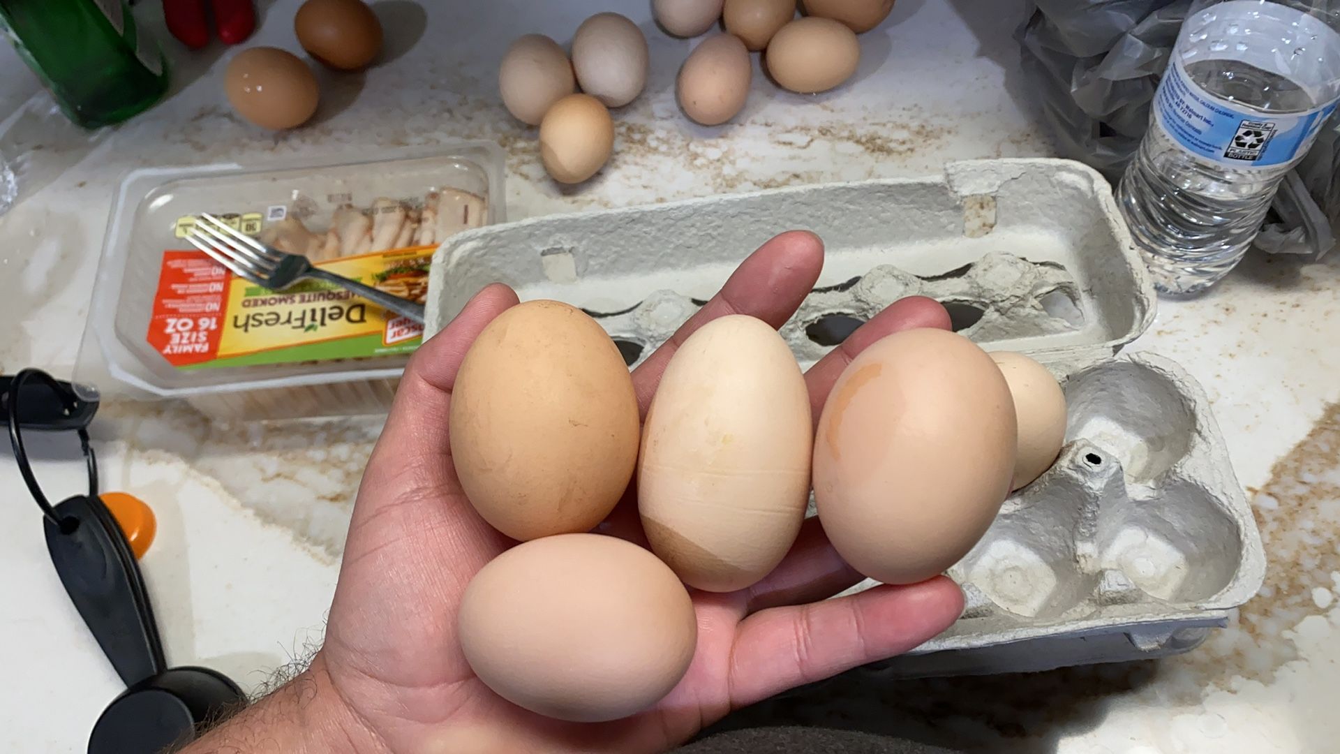 Organic eggs for sale