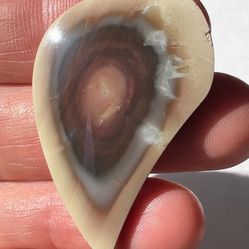 Imperial Jasper Cabochon