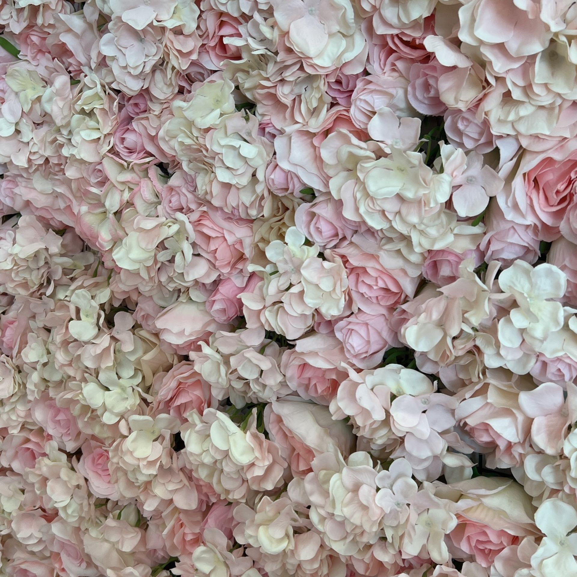 Flower Wall for Sale in Miami, FL OfferUp
