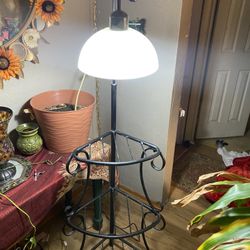 Plant stand with light