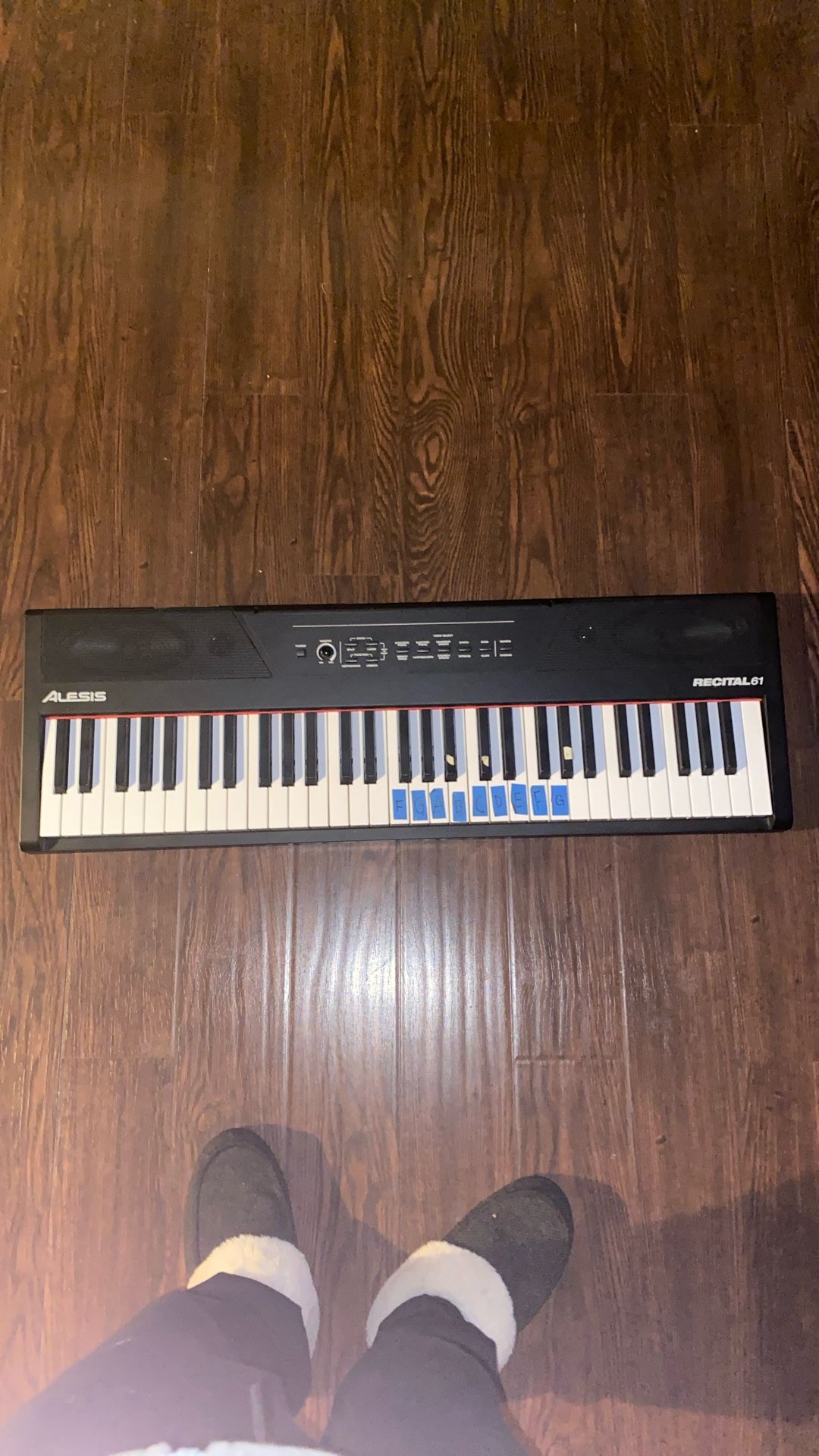 Alesis Keyboard