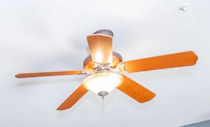 Ceiling fan Hampton Bay 5 blade wood