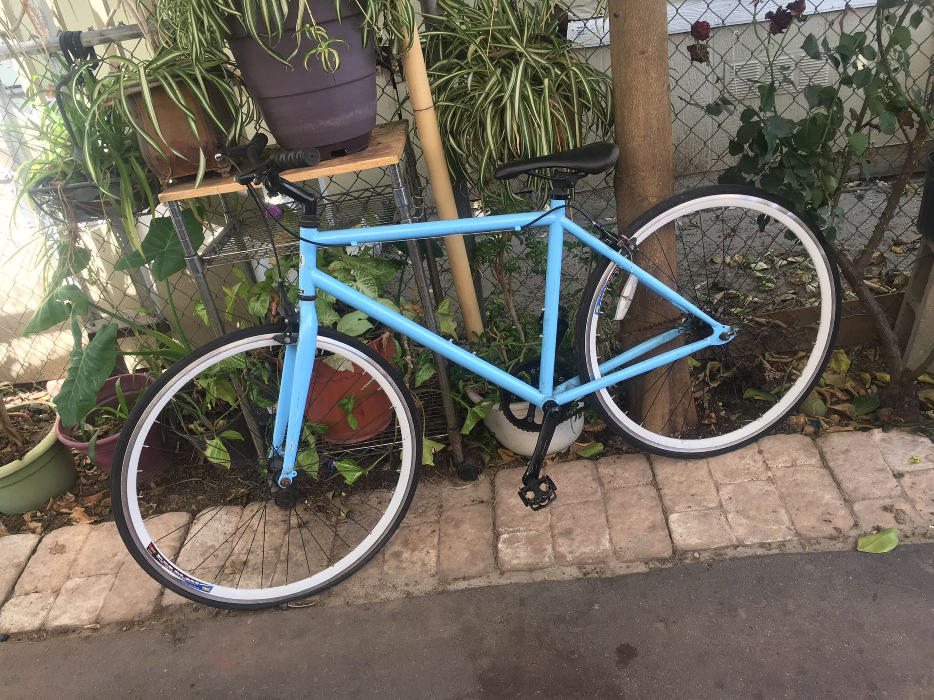 fixie