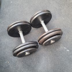50lbs Dumbells Weights