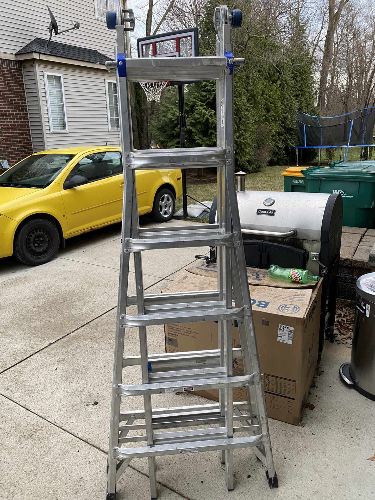 LADDER 25 Feet Long Indeed