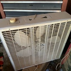 Fan 