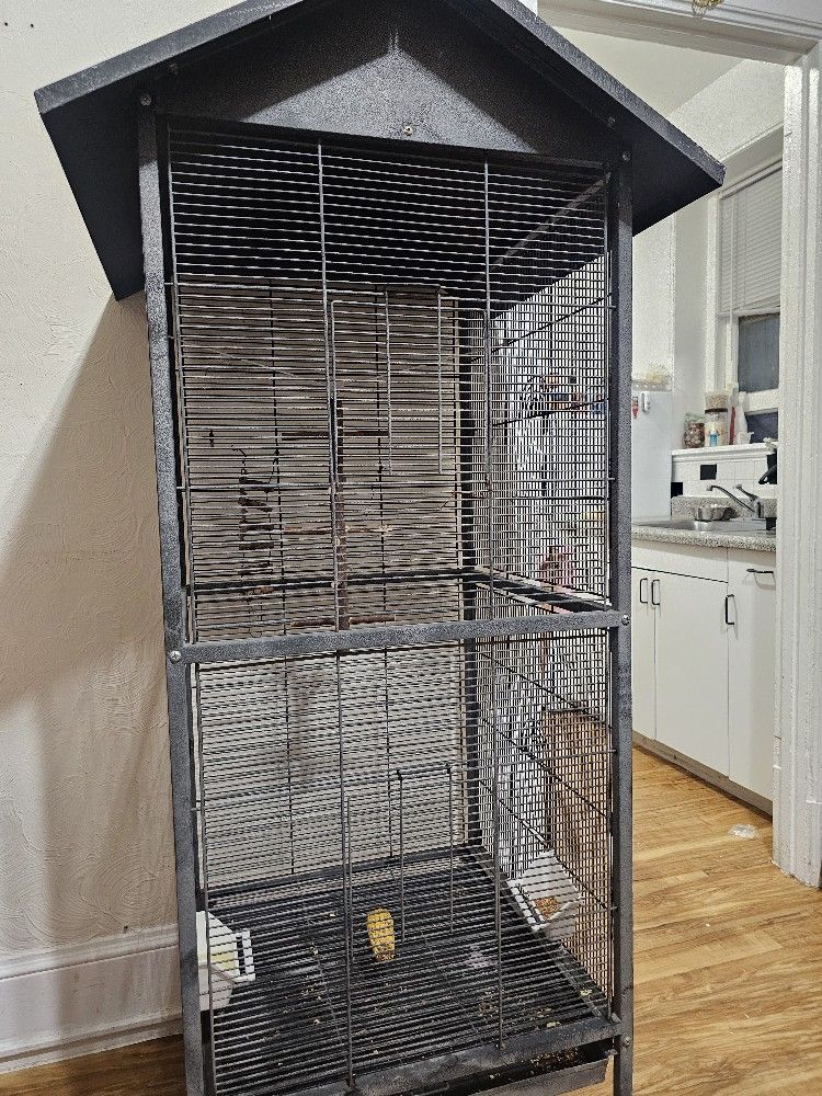Bird Cage