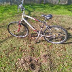 Trex Navigator Bike 