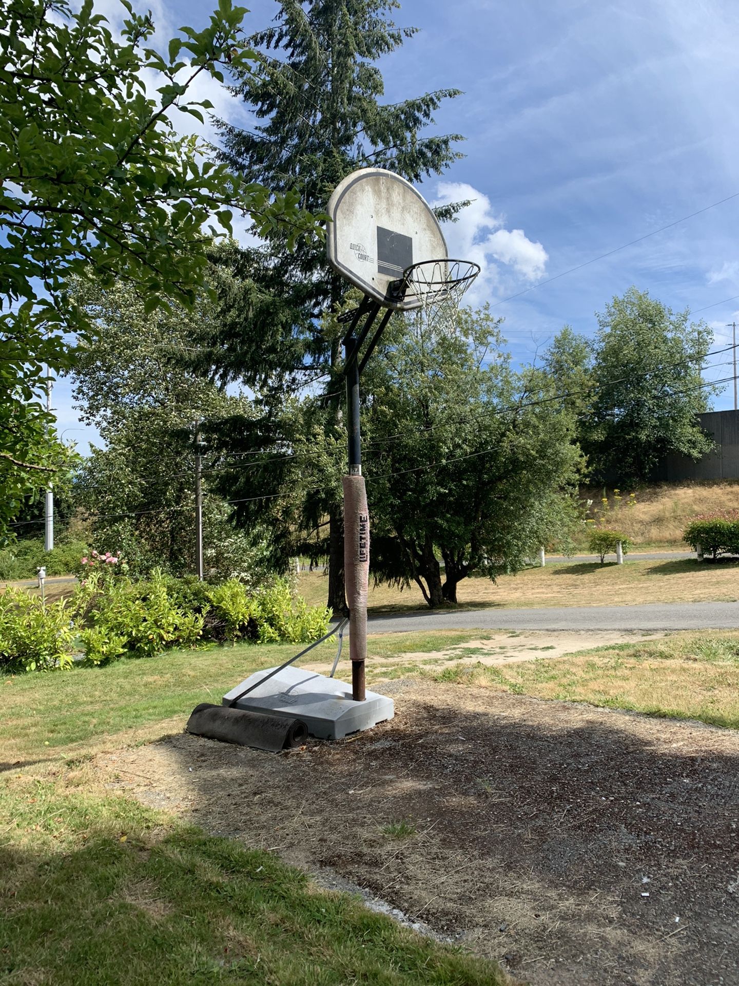 Basketball hoop ***Free***