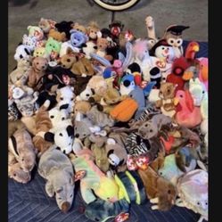 Beanie Babies Ty.