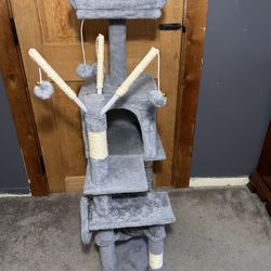 Cat House 