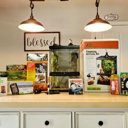 Complete Reptile Habitat