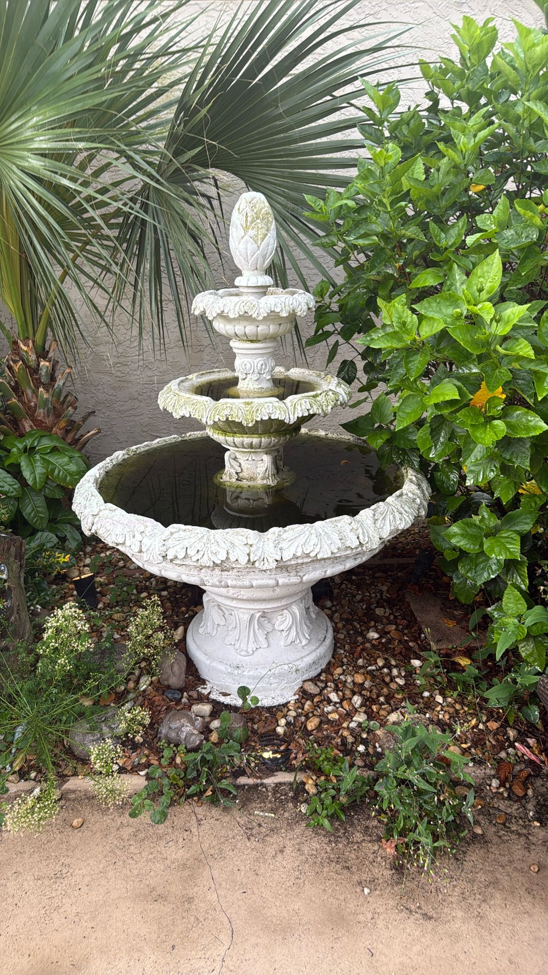 Bird Bath