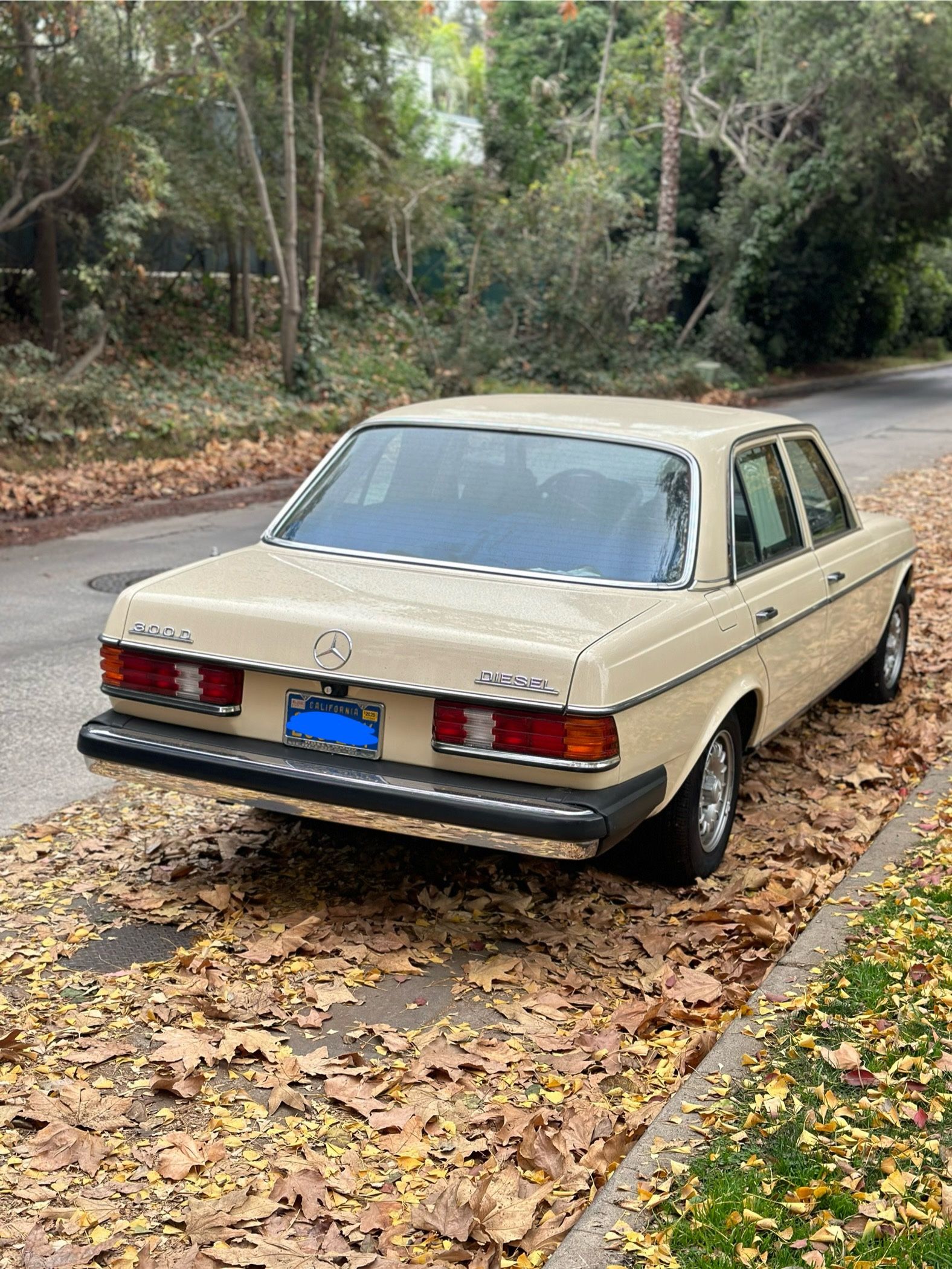 1980 Mercedes Benz 300D
