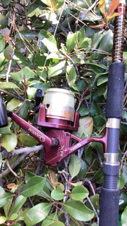 Fishing poles