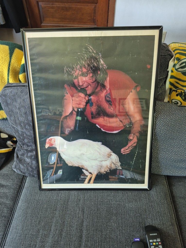 Ozzy With Chicken. Poster
