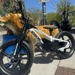 StacyC E-bike Bike Ebike 18”