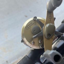 Shimano Corsair Reel Cs400a  On Ugly Stick Rod 6’6