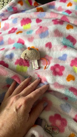 Coming Soon - All Things for your Kitten / Cat