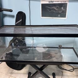 Reptile Tank
