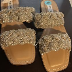 Women Steve Madden Sandals 