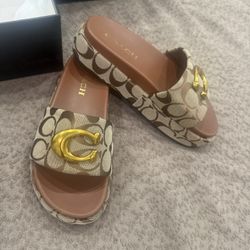 Sandals Brown Platform Coach