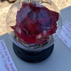 Beauty And The Beast Rose With Light 