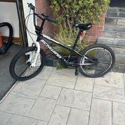 Schwinn Kids Bike 