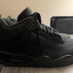Black Cat 4s