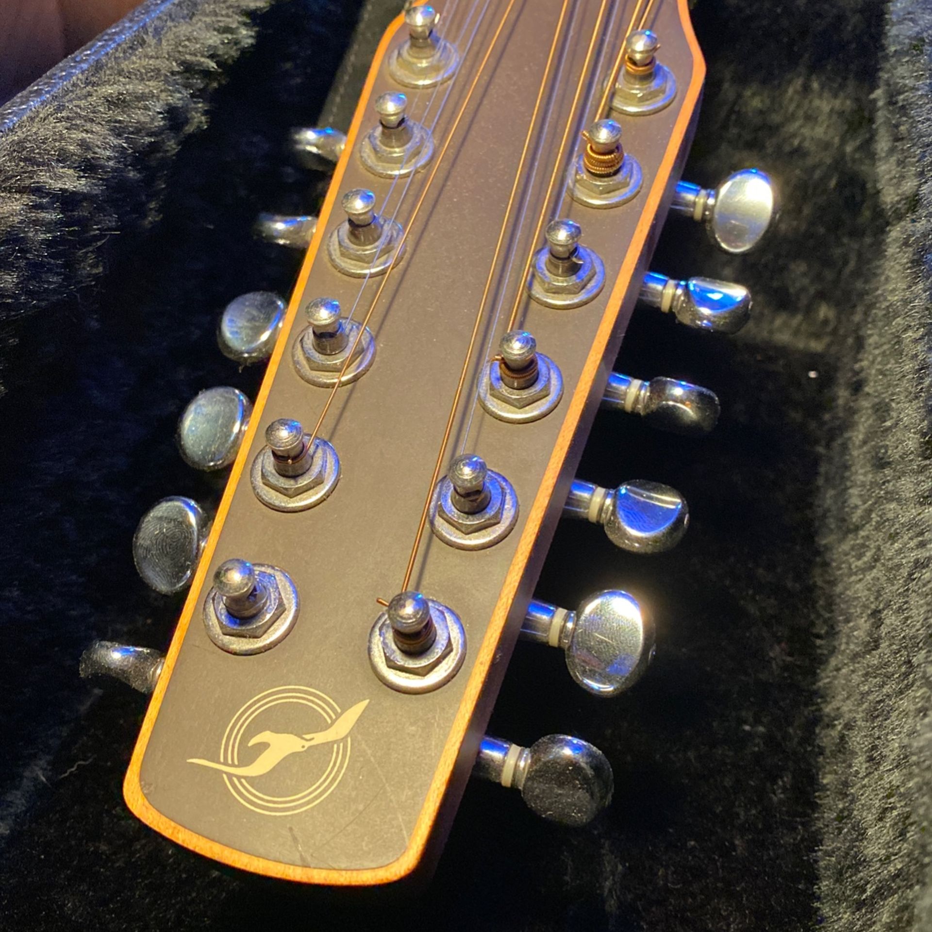 Seagull 12 String Guitar W/ hard case