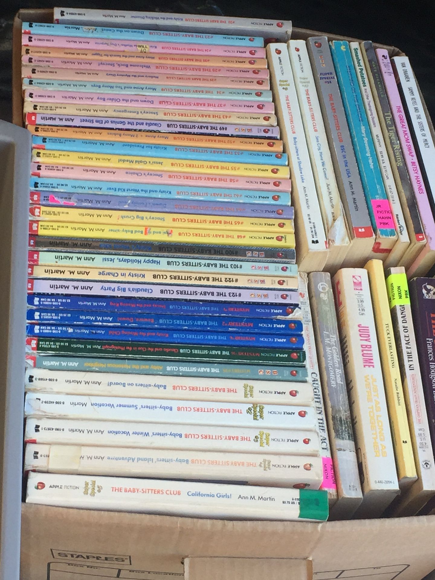 Babysitter Club Books