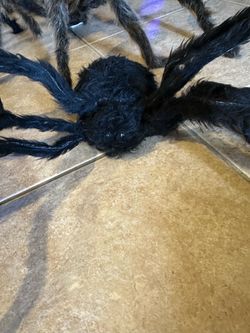 Halloween spiders