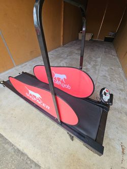 Dog pacer treadmill