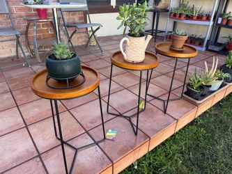 Vigoro Wood Top Plant Stand - 19 in Height - Indoor Use (3-Pack)