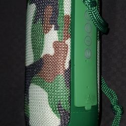 Bluetooth Speakers