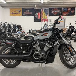 2024 Harley Davidson Nightster Special