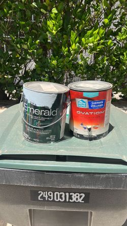 Paint baby blue Sherwin-Williams emerald interior flat