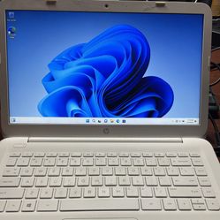 Computer Repair, free diagnostics and More….