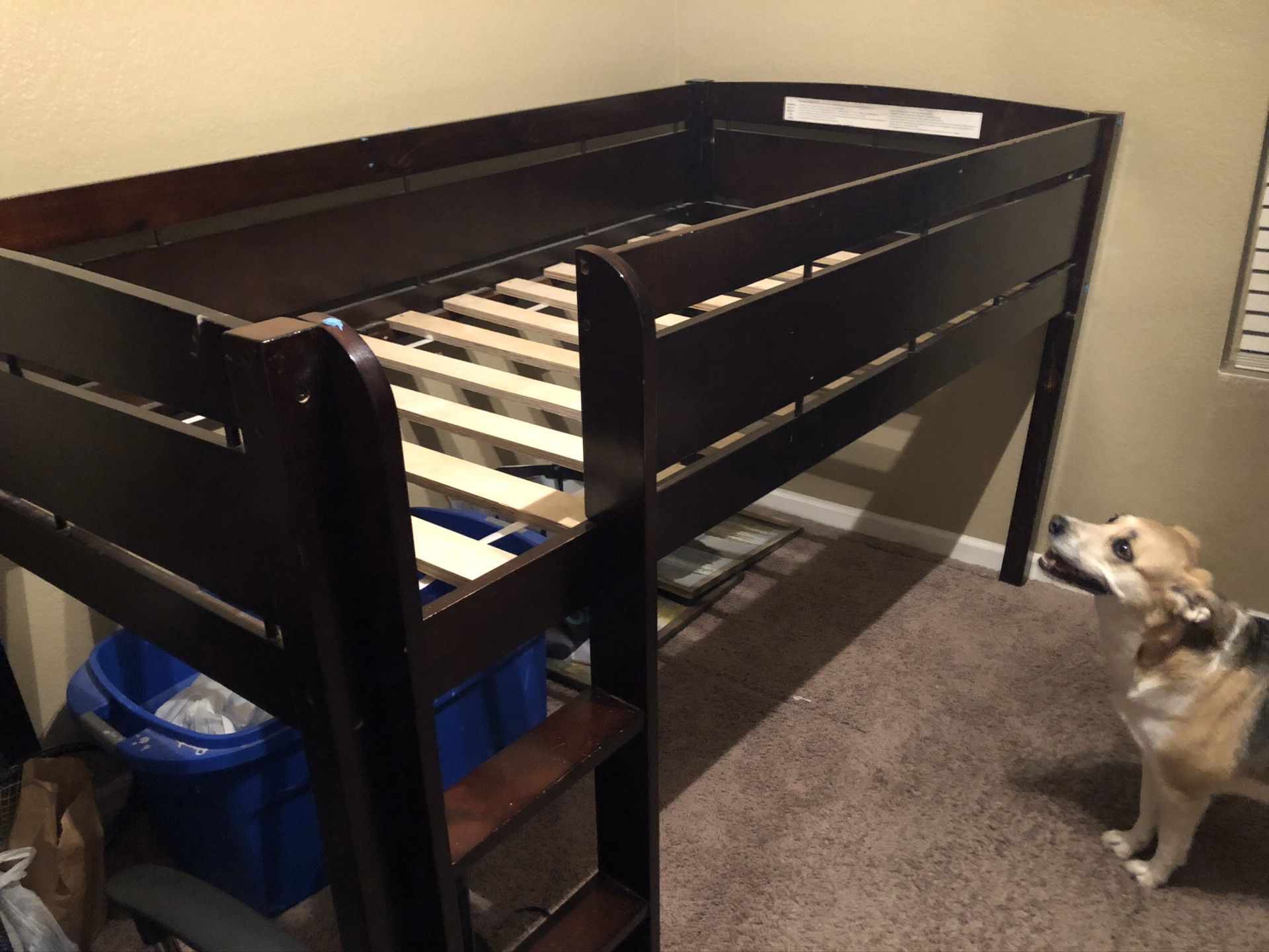 Twin loft bed frame with bunky board