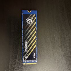 MSI M450 1TB NVMe SSD – 95% Health, No Issues
