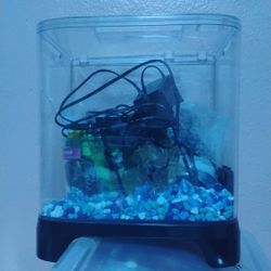 Betta fish tank